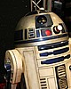 IMG_6927.JPG