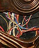 IMG_6971.JPG