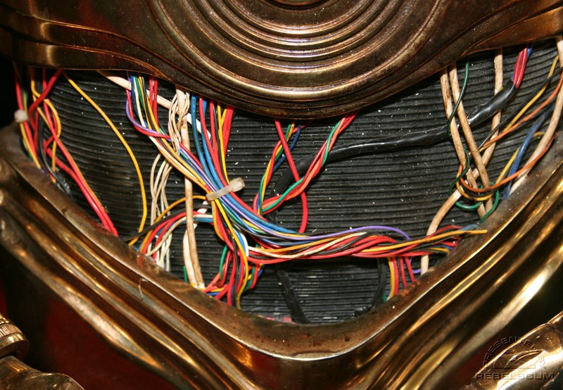 IMG_6972.JPG