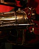 IMG_6981.JPG