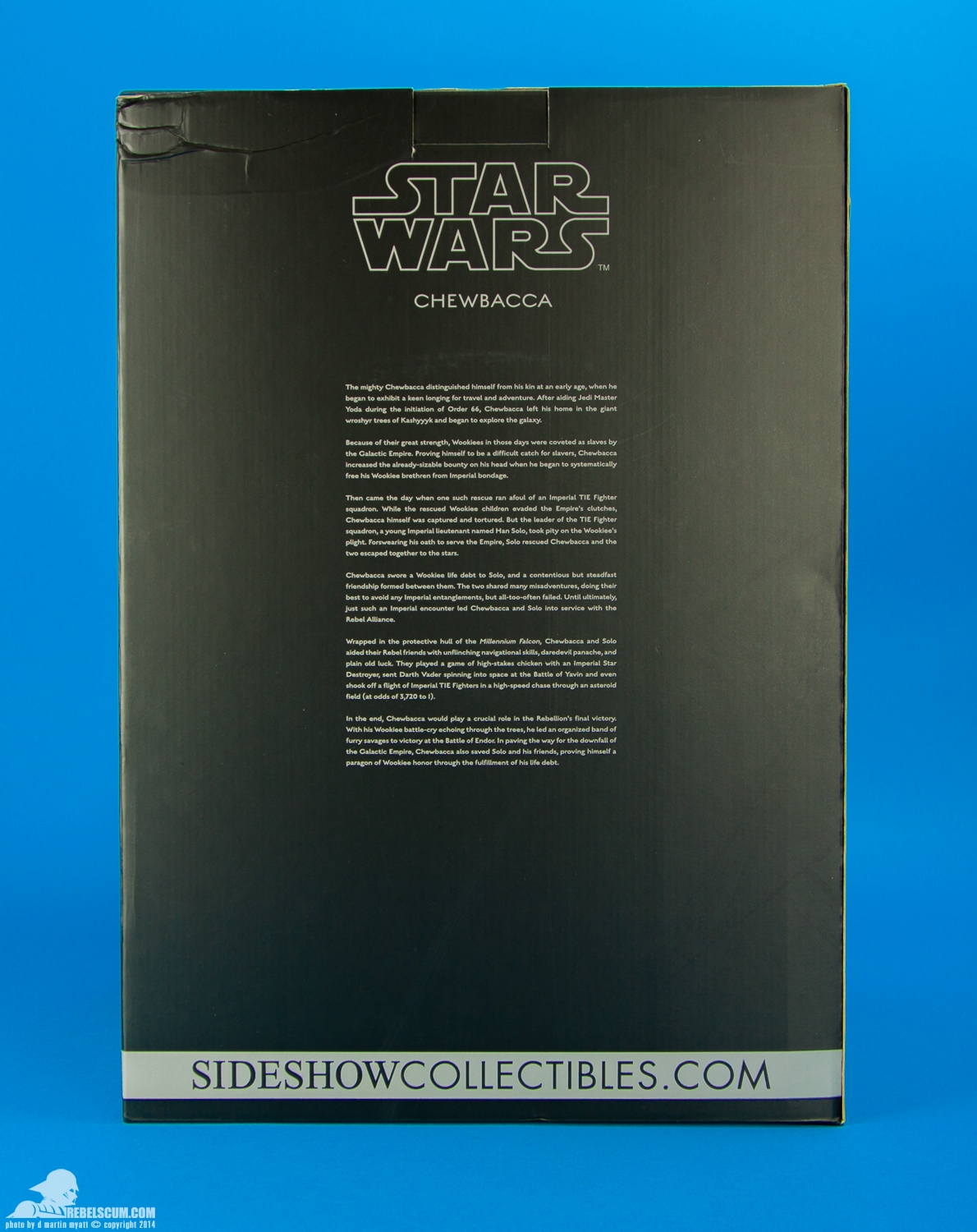 Chewbacca-Premium-Format-Figure-Sideshow-Collectibles-Exclusive-024.jpg