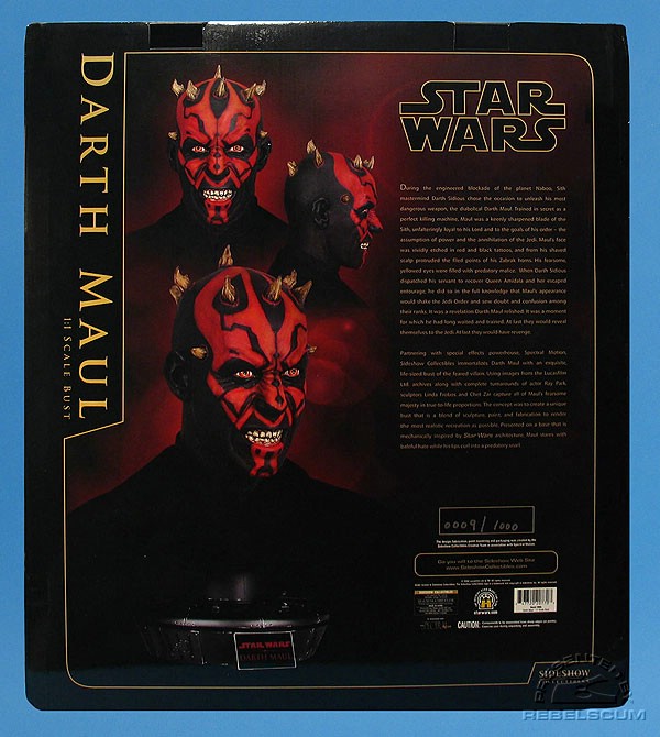 SCmaulbustbox-back.jpg