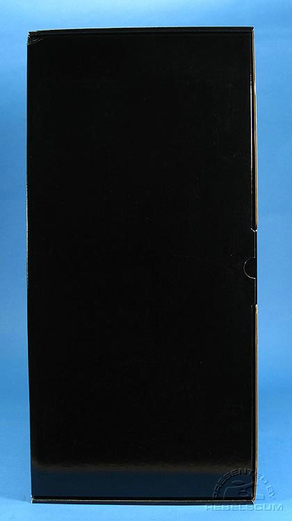 SCleia890.jpg