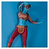 Aayla_Secura_Premium_Format_Figure_Sideshow_Collectibles-13.jpg