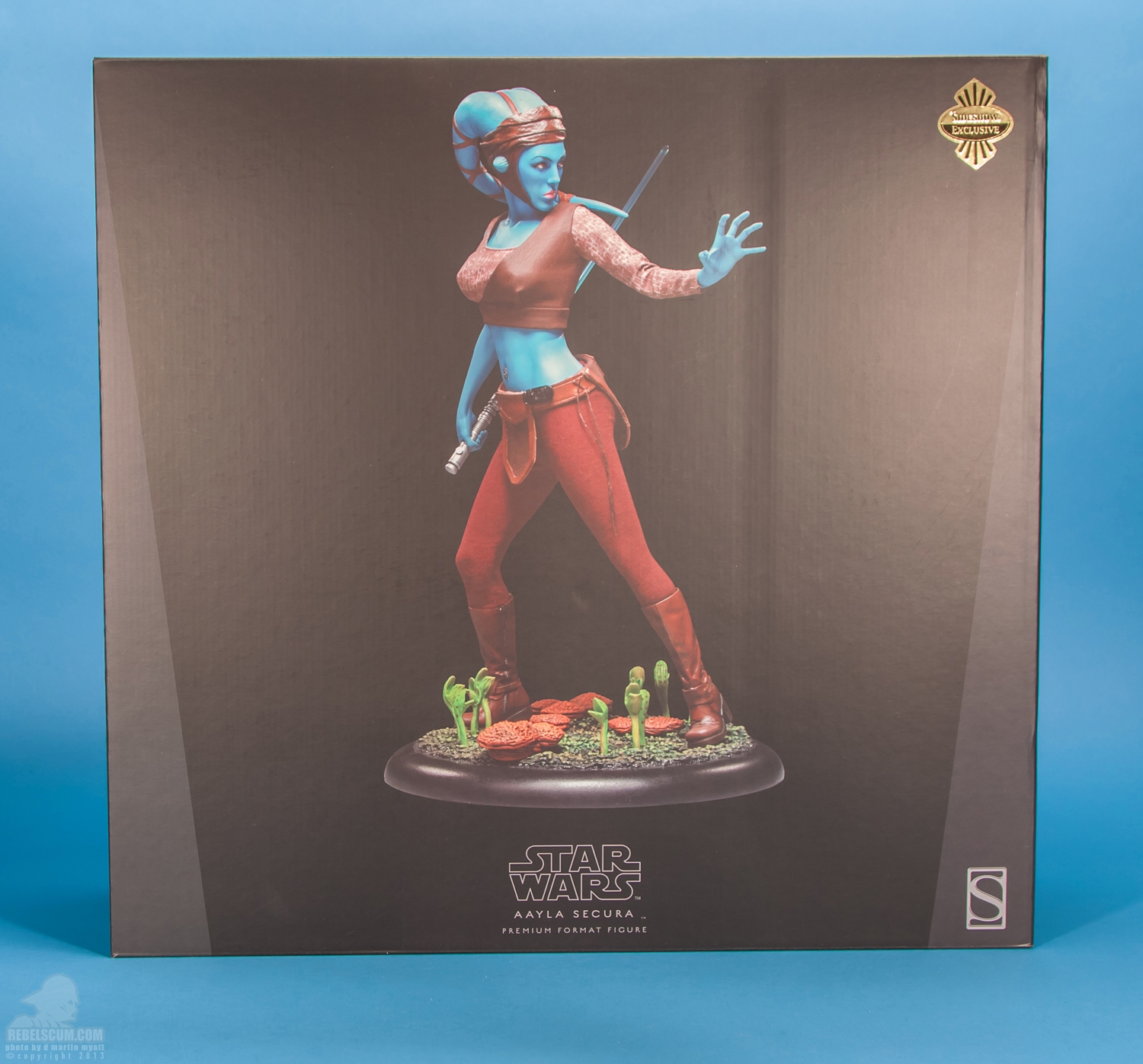 Aayla_Secura_Premium_Format_Figure_Sideshow_Collectibles-22.jpg