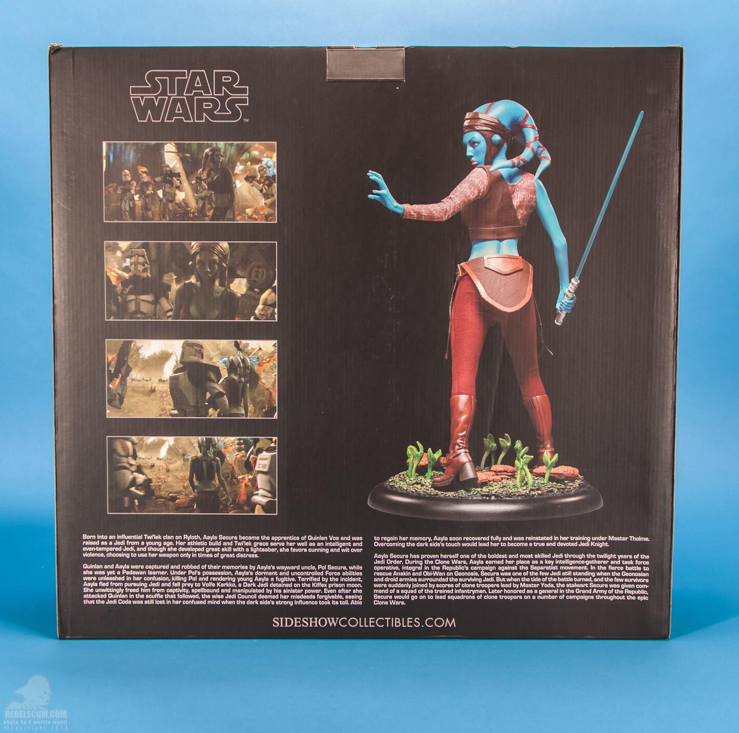 Aayla_Secura_Premium_Format_Figure_Sideshow_Collectibles-25.jpg