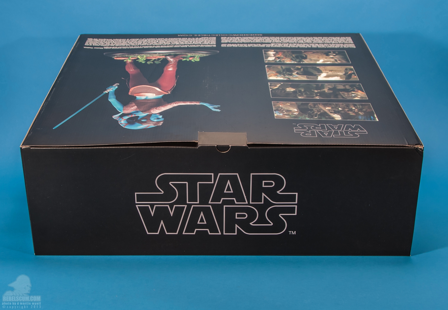 Aayla_Secura_Premium_Format_Figure_Sideshow_Collectibles-26.jpg