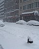 Blizzard-005.jpg