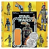 Kim-D-M-Simmons-Gallery-Classic-Kenner-Action-Figures-027.jpg