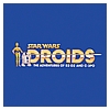 Kim-D-M-Simmons-Gallery-Classic-Kenner-Star-Wars-Droids-001.jpg