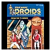 Kim-D-M-Simmons-Gallery-Classic-Kenner-Star-Wars-Droids-021.jpg