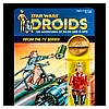 Kim-D-M-Simmons-Gallery-Classic-Kenner-Star-Wars-Droids-022.jpg