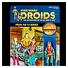 Kim-D-M-Simmons-Gallery-Classic-Kenner-Star-Wars-Droids-023.jpg