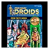 Kim-D-M-Simmons-Gallery-Classic-Kenner-Star-Wars-Droids-024.jpg