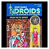 Kim-D-M-Simmons-Gallery-Classic-Kenner-Star-Wars-Droids-025.jpg