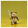 Kim-D-M-Simmons-Gallery-Classic-Kenner-Star-Wars-Ewoks-002.jpg