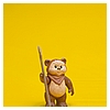 Kim-D-M-Simmons-Gallery-Classic-Kenner-Star-Wars-Ewoks-003.jpg