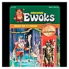 Kim-D-M-Simmons-Gallery-Classic-Kenner-Star-Wars-Ewoks-017.jpg