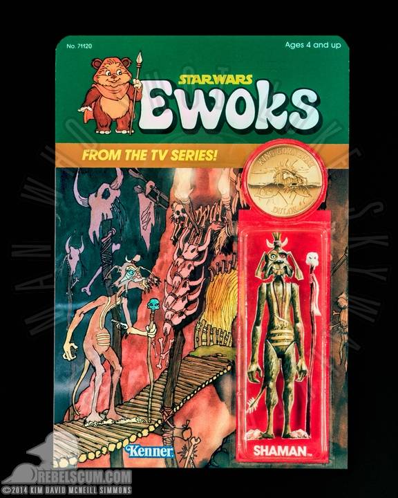 Kim-D-M-Simmons-Gallery-Classic-Kenner-Star-Wars-Ewoks-018.jpg