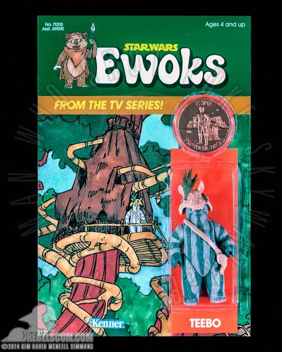 Kim-D-M-Simmons-Gallery-Classic-Kenner-Star-Wars-Ewoks-019.jpg