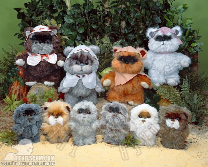 Kim-D-M-Simmons-Gallery-Classic-Kenner-Star-Wars-Ewoks-035.jpg