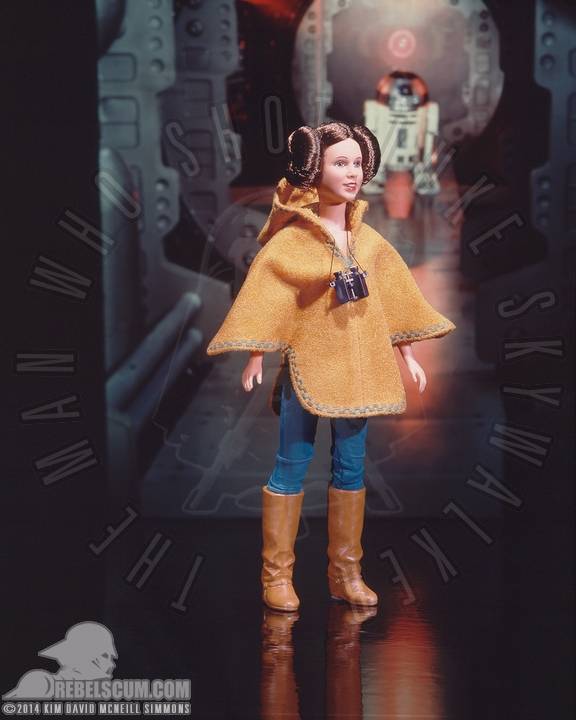 Kim-D-M-Simmons-Gallery-Classic-Kenner-Large-Size-Action-Figures-055.jpg