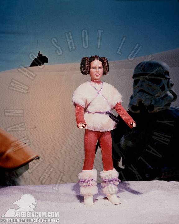 Kim-D-M-Simmons-Gallery-Classic-Kenner-Large-Size-Action-Figures-056.jpg