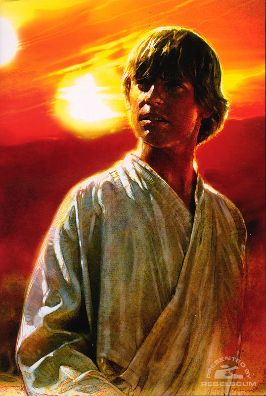 Star Wars: A New Hope – The Life of Luke Skywalker - Hardcover