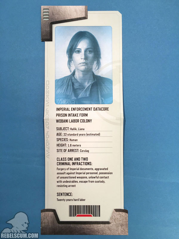 Star Wars: The Rebel Files (Jyn Erso Prison Intake Form)