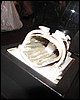 IMG_8432.JPG