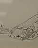 IMG_6960.JPG