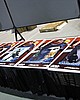 C5day1 006.jpg