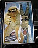 C5day1 013.jpg