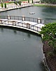C5day1 028.jpg