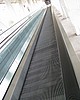 C5day1 029.jpg
