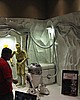 C5day1 036.jpg