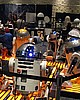 C5day1 037.jpg
