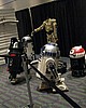 C5day1 039.jpg