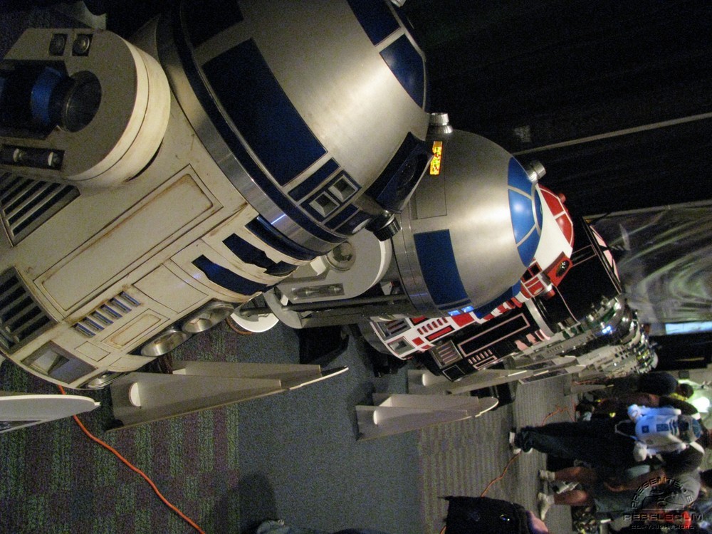 C5day1 041.jpg