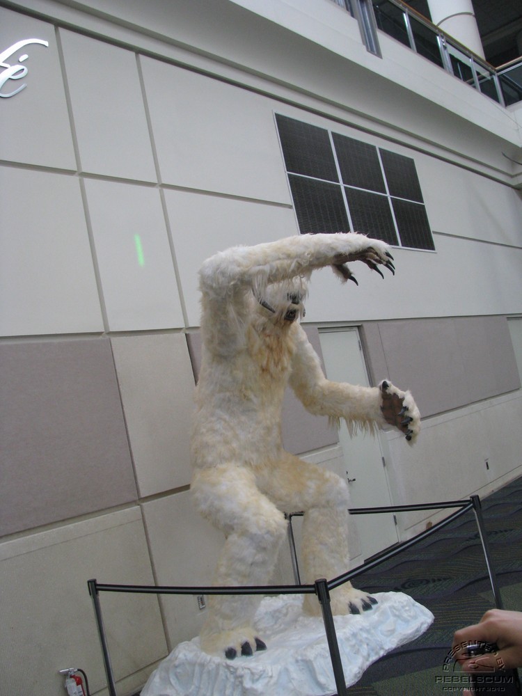 C5day1 047.jpg