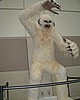 C5day1 048.jpg