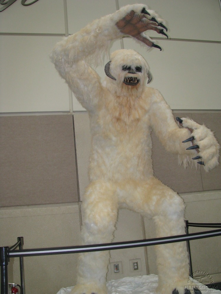 C5day1 048.jpg