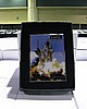 C5day1 059.jpg