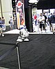 C5day1 091.jpg
