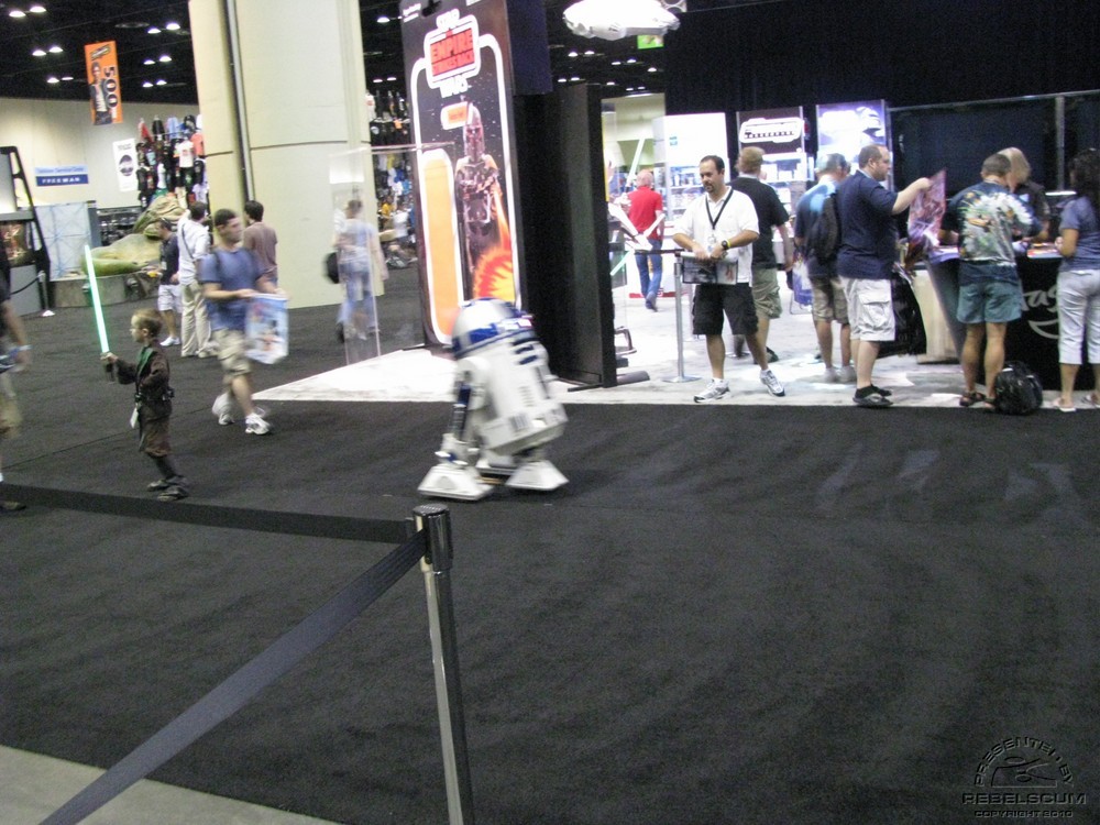 C5day1 091.jpg