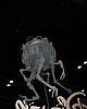 C5day1 103.jpg