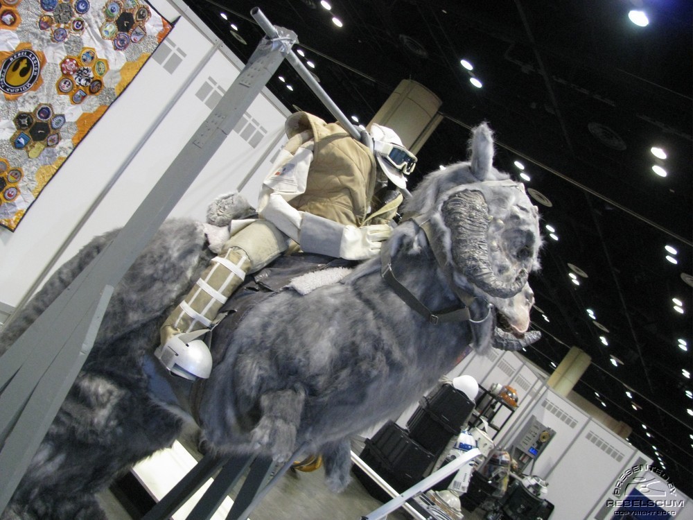 C5day1 107.jpg
