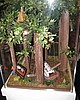 C5day2 235.jpg