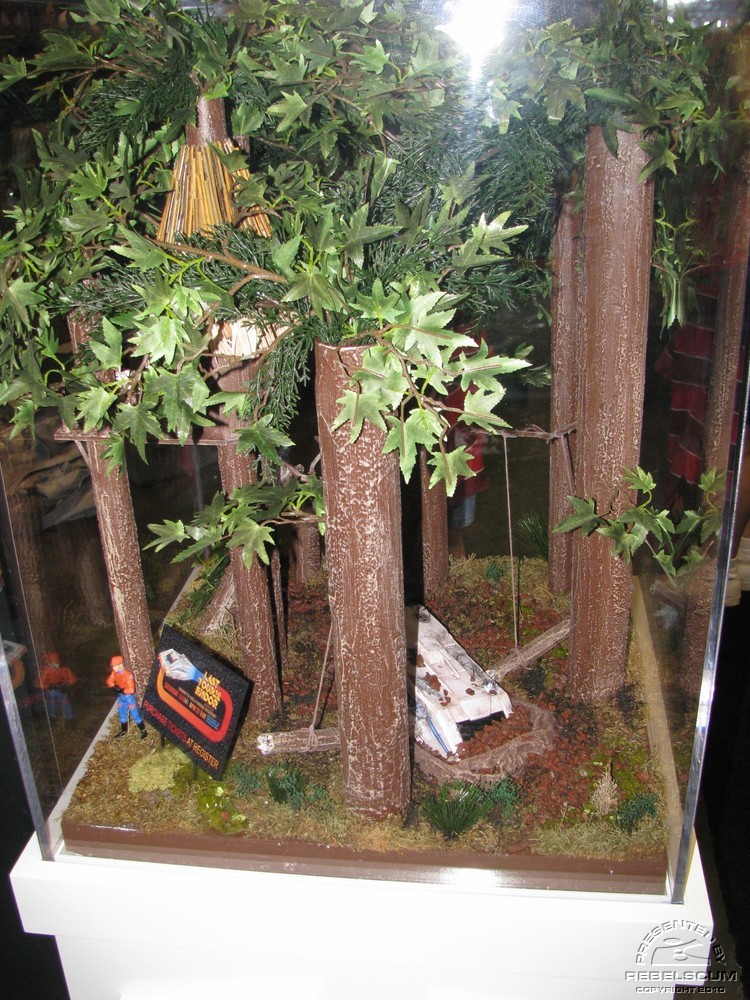 C5day2 235.jpg