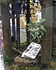 C5day2 236.jpg